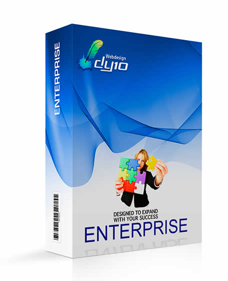 Enterprise Website Design Package